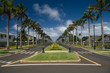 Palm-lined street