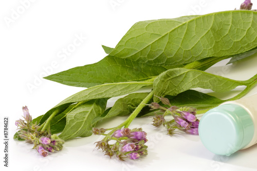Beinwell_Creme Beinwell_Creme