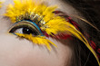 party eye macro
