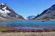 Photo: Symmetric lake-mountain-flower picture Symmetric lake-mountain-flower picture