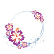 Hawaii example text
