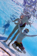 Family at swimming pool, underwater shot Family at swimming pool, underwater shot