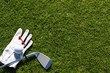 golf detail