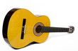 Acoustic guitar