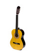 Acoustic guitar