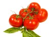 tomates grappe et basilic