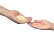 Hand giving rice to another hand isolated Hand giving rice to another hand isolated