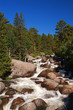 Meandering spring stream in an alpine meadow
