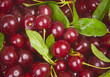 Sweet cherries