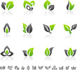 Set of 12 abstract green leaf icons and graphics