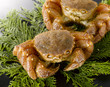 Crabs