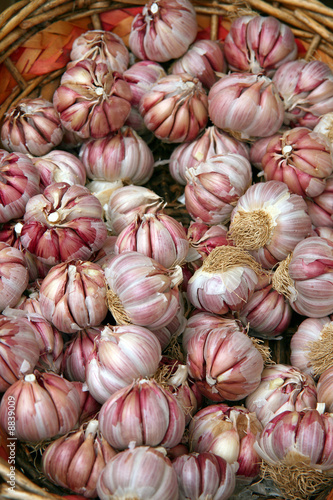 Foto: Knoblauchzehen Knoblauchzehen