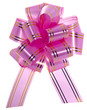 pink bow on white background