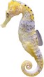 seepferdchen