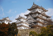 Japanese castle
