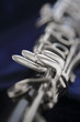 Clarinet
