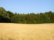 Feld in Blau, Grün, Schwarz Feld in Blau, Grün, Schwarz