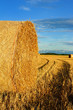 Champ de blé et bottes de paille