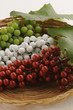 Vendemmia tricolore
