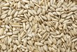 sunflower seeds
