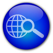 "Search" button