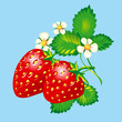 Strawberries Strawberries