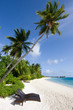 Palmenstrand