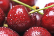Cherry Cherry