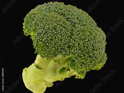 Photo: Broccoli Broccoli