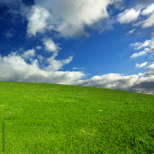 Foto: Green grass and blue sky Green grass and blue sky