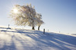 Winterlandschaft 3