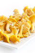 fresh golden chanterelles piled on the table fresh golden chanterelles piled on the table