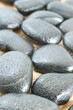 dewed pebble