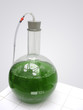 flacon chimie vert