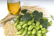 Idylle mit Hopfen 1