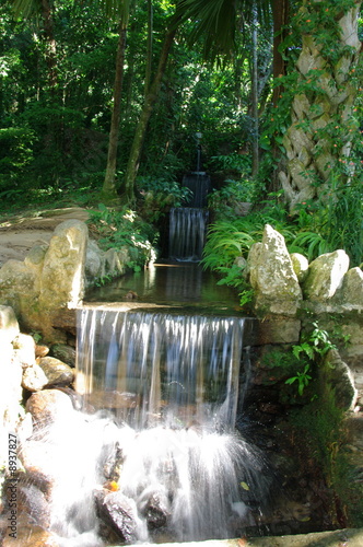 Photo : Chute d'eau dans un jardin tropical, Rio, Brésil. Chute d'eau dans un jardin tropical, Rio, Brésil.