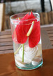 Tropical flowers and sea shells in a vase.