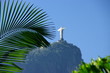 Palme et Corcovado, Jardin, Rio de janeiro, Brésil