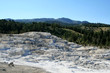 Mammoths' Springs