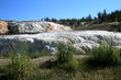 Mammoths' Springs