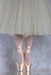 Dancer in ballet pointe