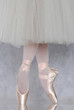 Dancer in ballet pointe