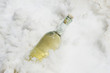 vino bianco al ghiaccio