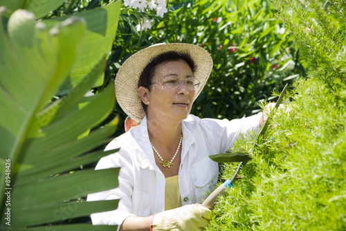 Photo: Portrait of senior Italian woman gardening Portrait of senior Italian woman gardening