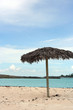 Tropical Island