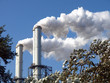 cloud factory