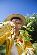 Photo: Senior woman looking at tomato with magnifying glass Senior woman looking at tomato with magnifying glass