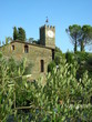 Buggiano