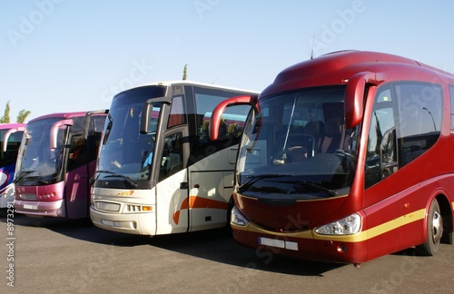 Photo: buses in car park buses in car park
