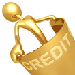 Flexible Credit Flexible Credit
